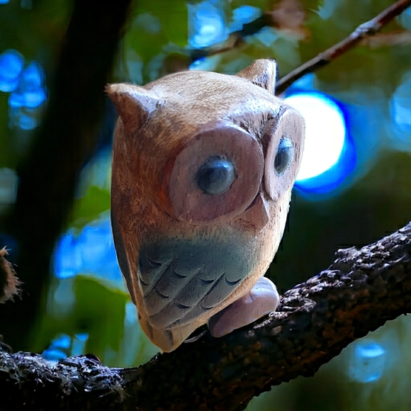 not sure Accessories - Carved wooden owl decoration 10x6x6cm painted wood carving